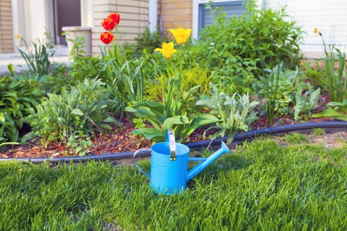 A vibrant front garden featuring a neatly maintained lawn with lush, green grass in the foreground. Behind the lawn, there is a flower bed bordered by dark edging, containing a variety of colourful plants and flowers, including red and yellow tulips and other seasonal blooms. The garden appears well-tended with healthy foliage and a mix of textures and natural tones. In the background, part of a house with siding and windows is visible, suggesting a residential setting within Barbican. The overall scene is well-lit, indicating daytime with clear weather. The image also includes a blue watering can resting on the grass, hinting at ongoing garden maintenance and care, aligned with professional gardening services provided by Hedge Trimming Barbican.